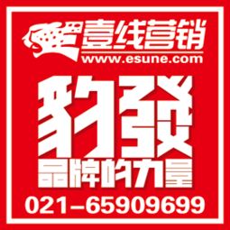 构建高效市场营销策略 从策划到执行的完整方案